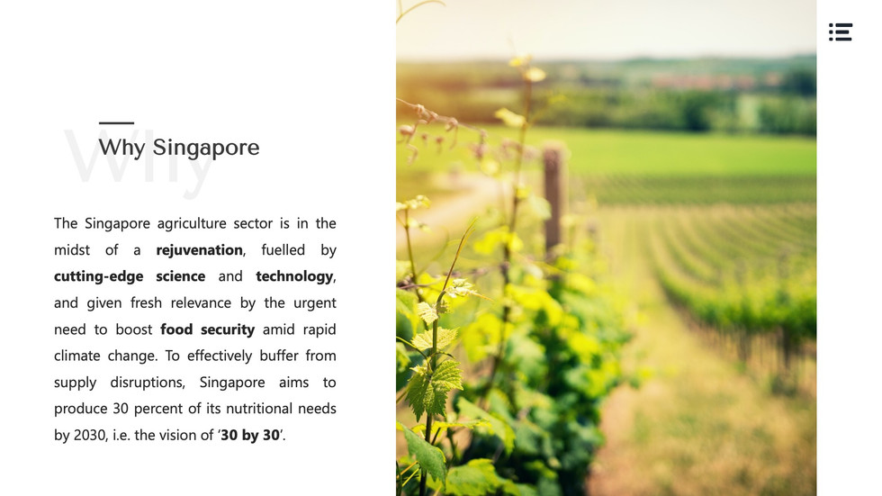 Why Singapore