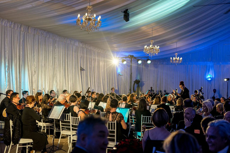 Winter Ball 30