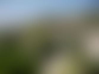 Άγιος Ιωάννης Πιτσιλιάς 