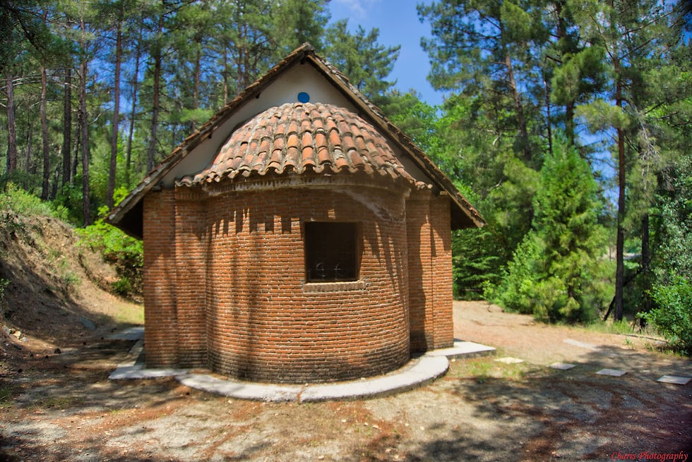 Κατασκηνωτικός χώρος Πλατανιών