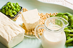 soy-food.PNG