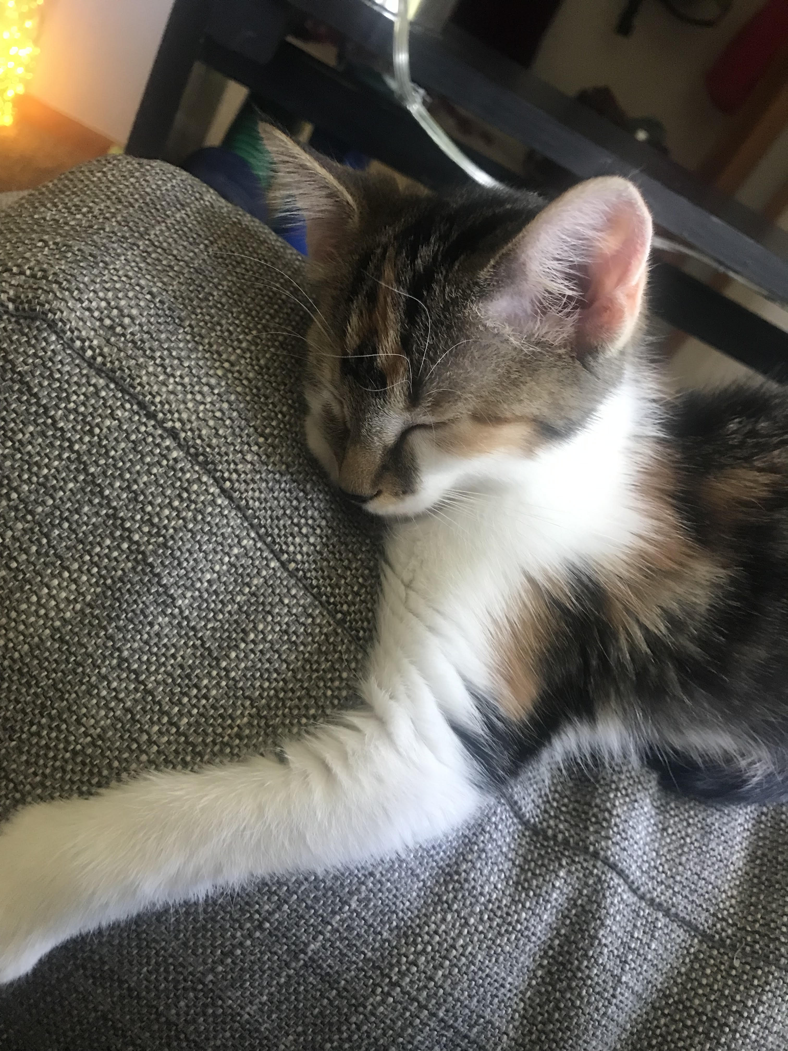 Missy