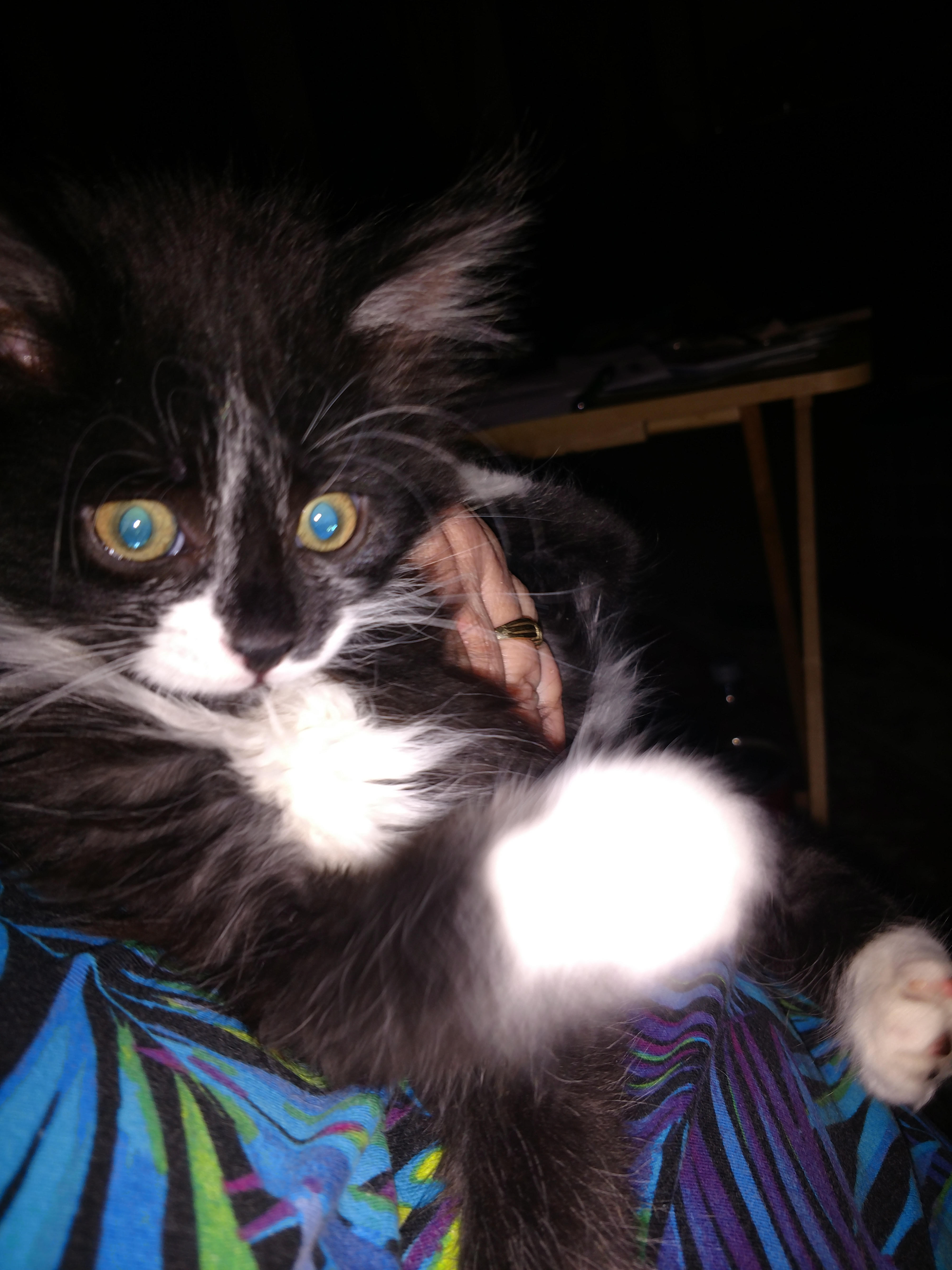 Finnegan
