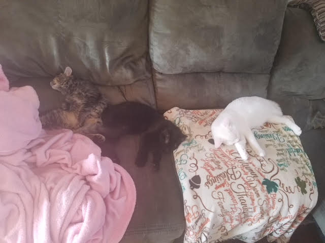 Mimi and family