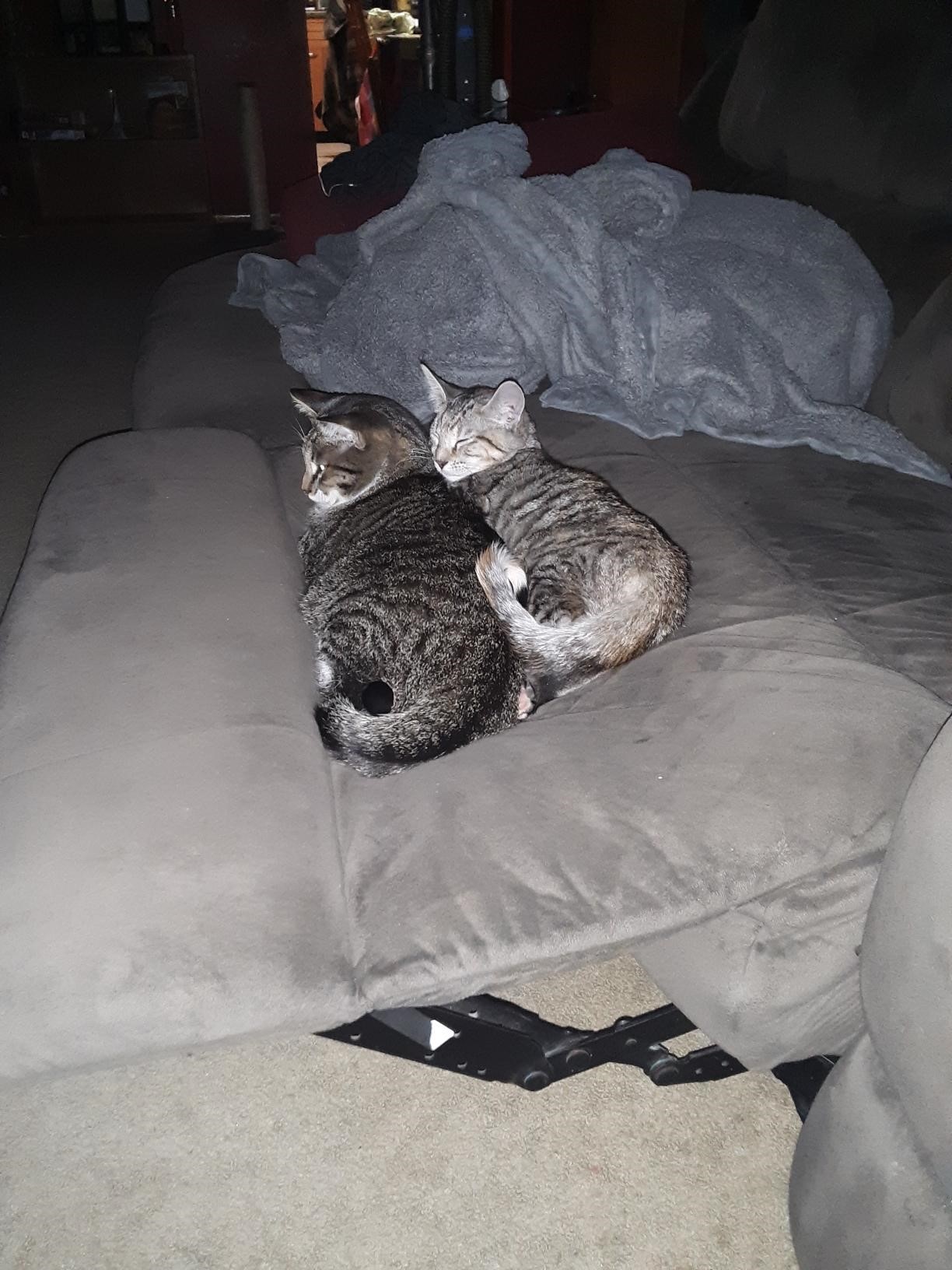 Dakota and Phoebie
