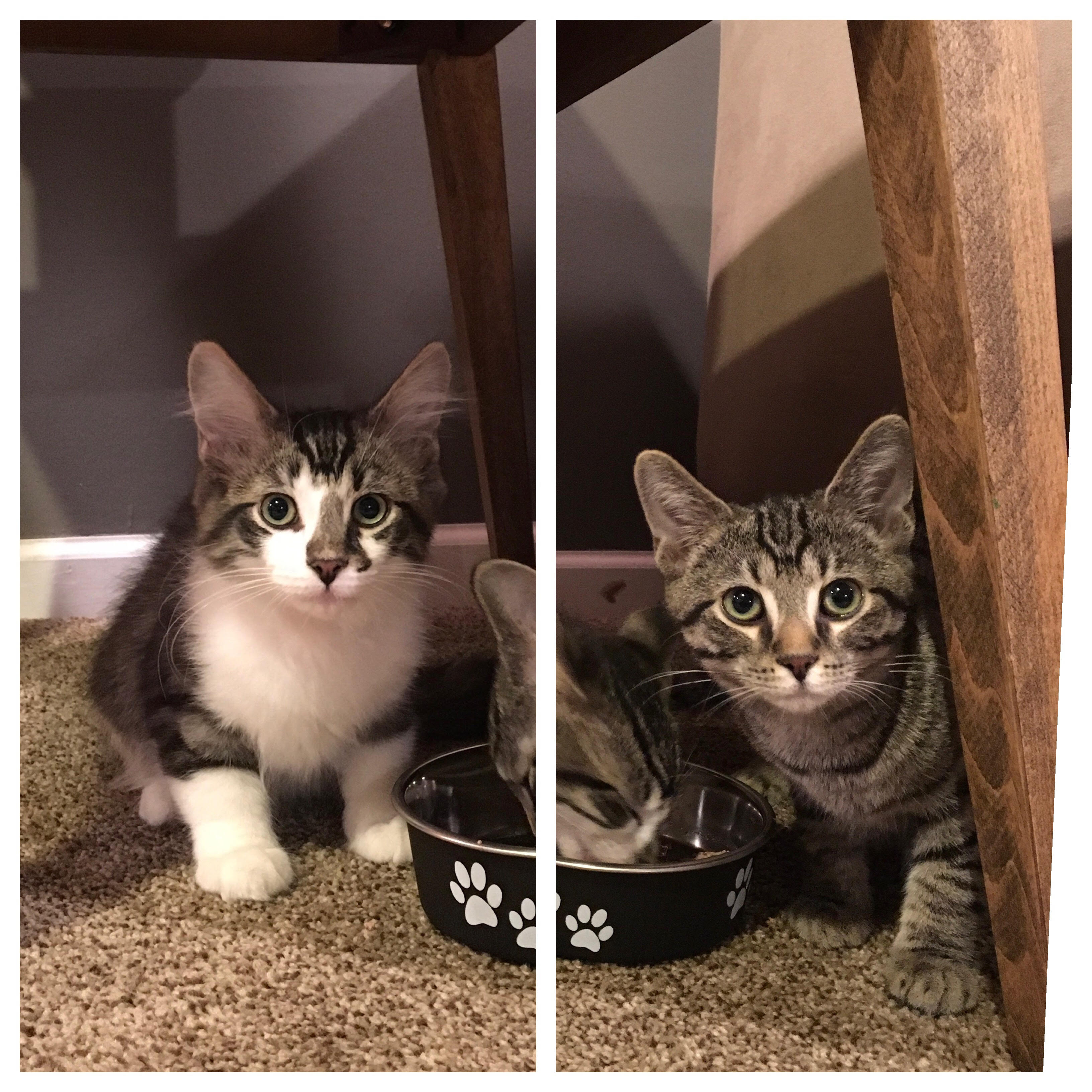 Popper and Sparkler
