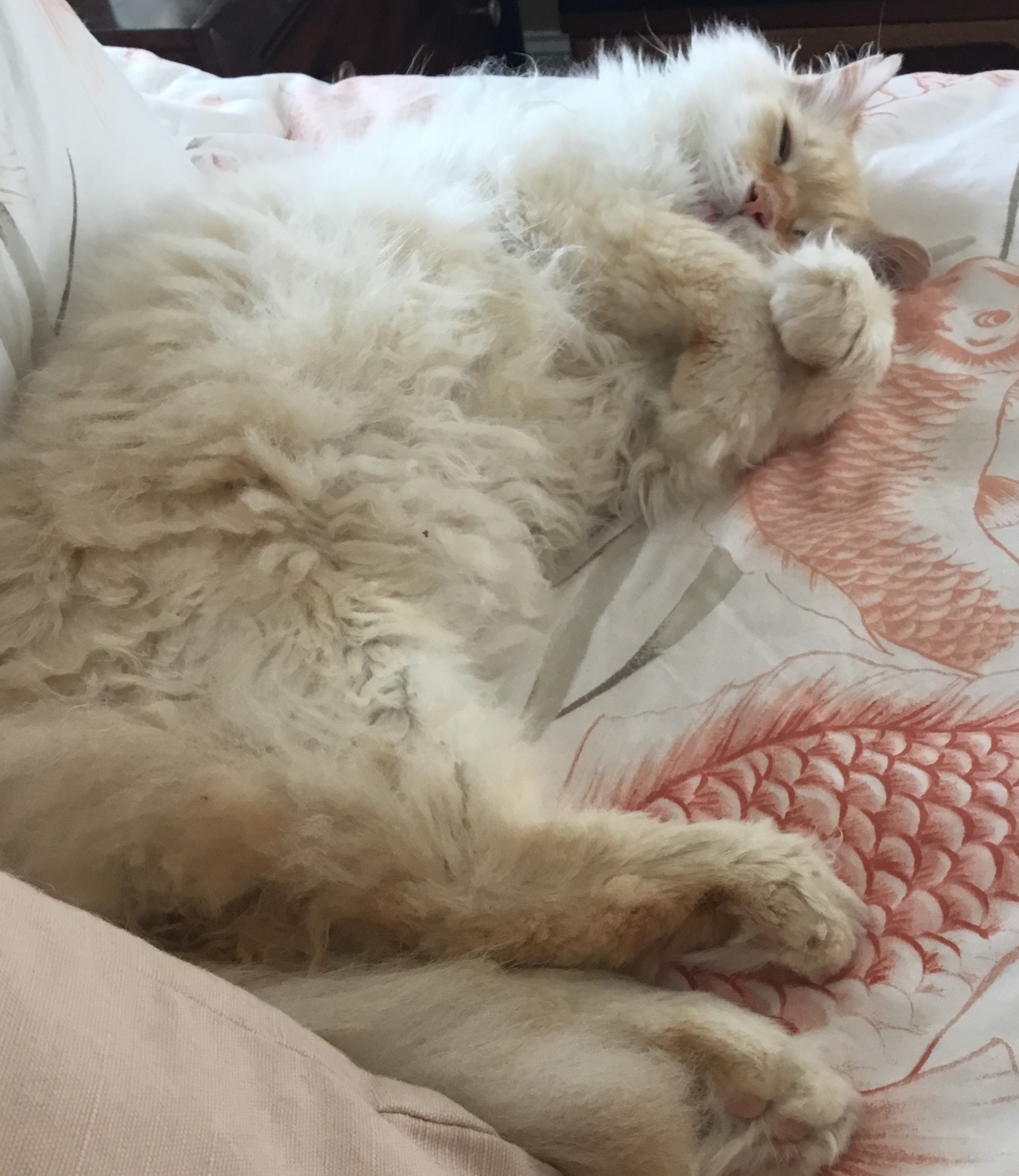 Max