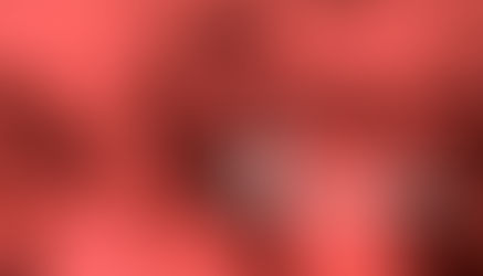 Vocacional - Uma Aventura Humana (2011)