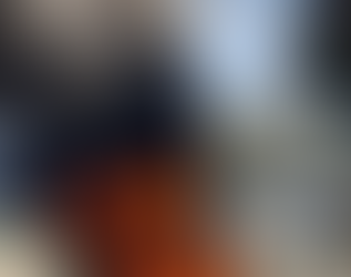 Quem foi Borba Gato?