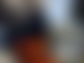 Quem foi Borba Gato?