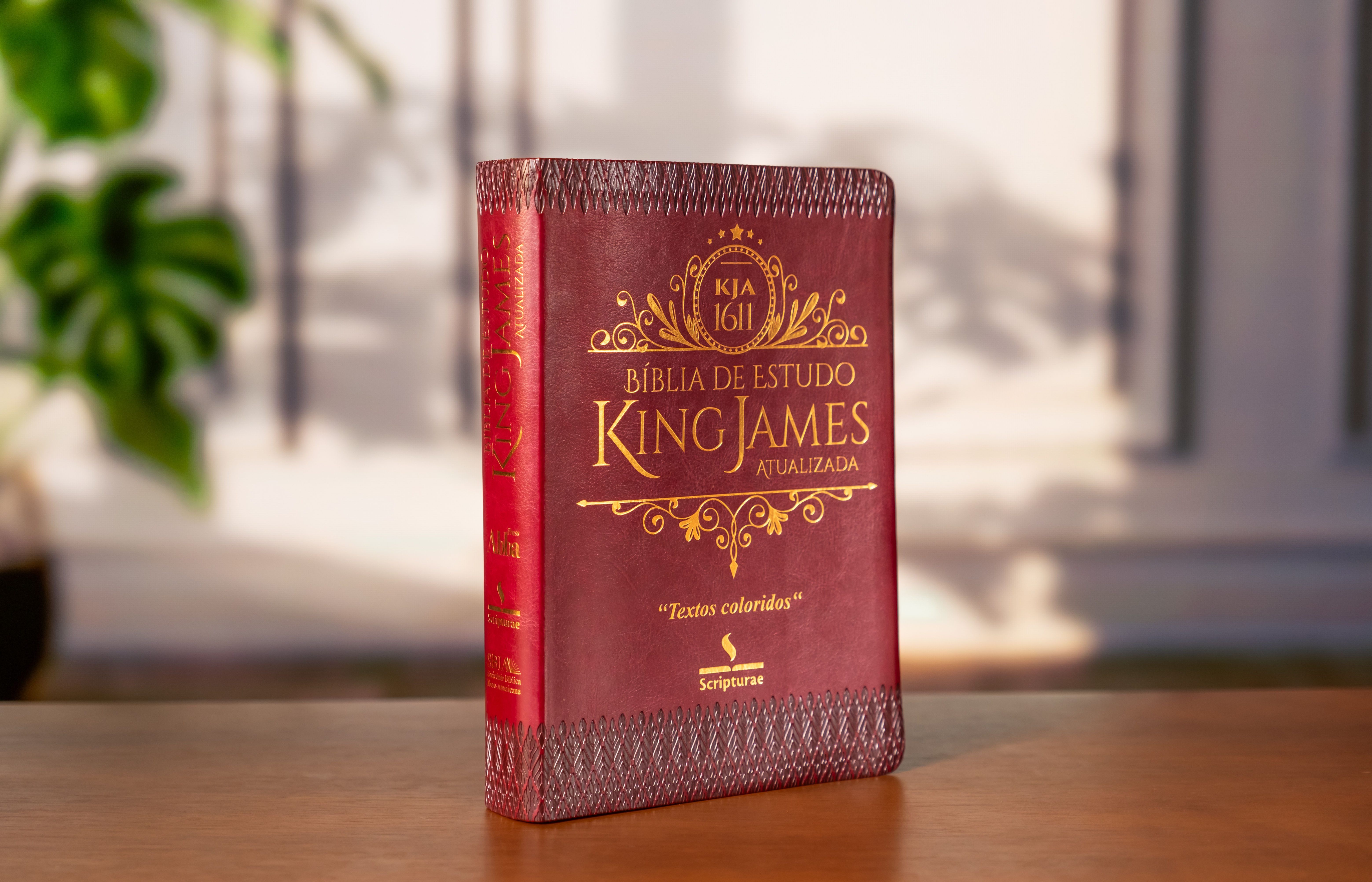 KJA DE ESTUDO COM TEXTOS COLORIDOS - VERMELHA