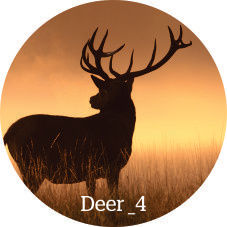 Thumbnail: Wall Dots (Deer)
