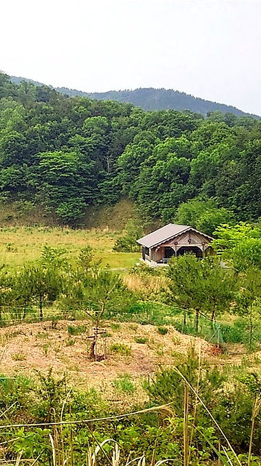 DSC_6537_edited.jpg