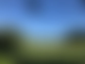 10月23日カフェ里休はお休みです