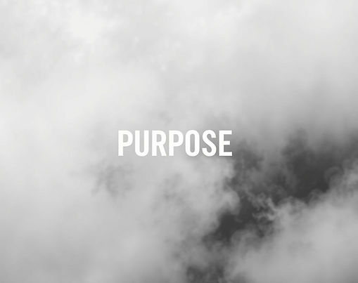 PURPOSE & GOALS