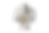 BASF_ProtoWhite_1400x1600_4.png