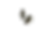 STAINLESS STEEL.png