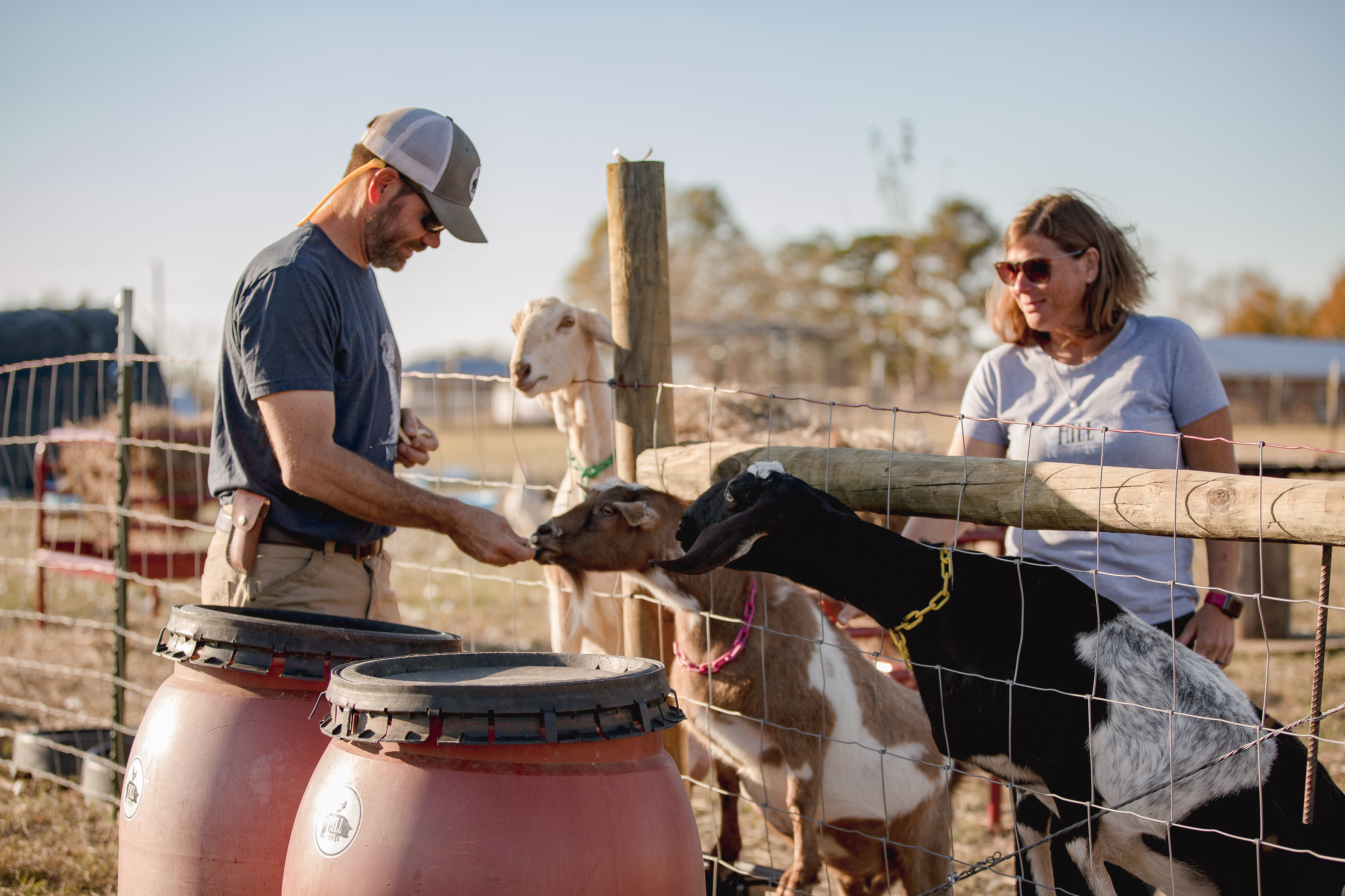 Comparison of Net Worth with Other Homestead Creators