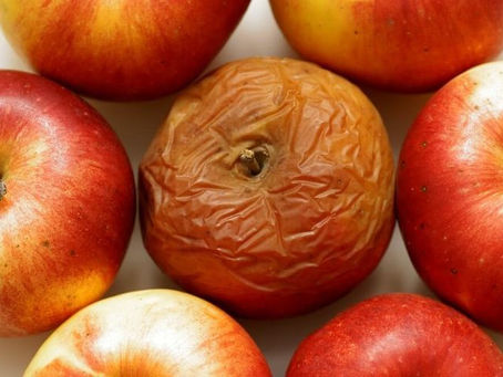 Pomme Pourrie dans le Panier