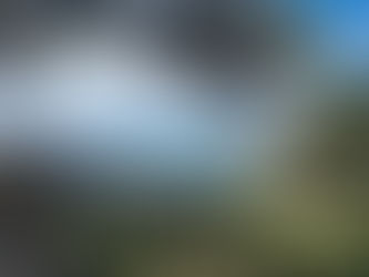 "Mon idéal est de vivre libre et qu'on me foute la paix" : le repos de l'âme