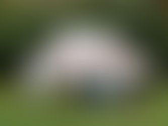 Hayvan Dostu Eczaneler ile Sokak Hayvanlarına Umut: Etkin Eczacılık Derneği’nden Anlamlı Proje