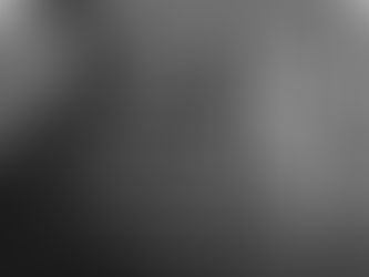 Faut-il dissocier le pangolin de son œuvre ?