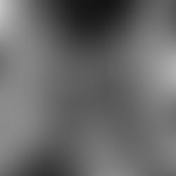 La pluie mouille le zèbre mais n'efface pas ses rayures