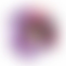 Je ne me tairai point