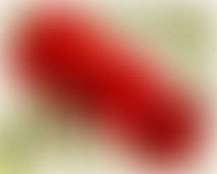 1 MAYIS EMEKÇİ BAYRAMI KUTLU OLSUN..