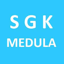 ÖNEMLİ MEDULA DUYURUSU:2018 yılı satış hasılatı girişi 10 NİSAN 2019 Çarşamba son