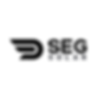 SEG.png
