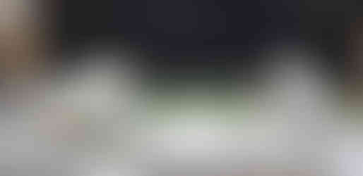 Maquette Stade Bauer SCAU