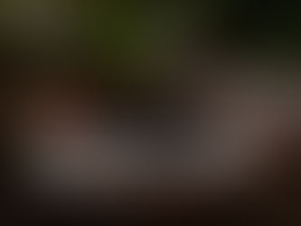 Sustentabilidade: Como a tecnologia ARXX ICF eleva o desempenho ambiental, energético e normativo das edificações