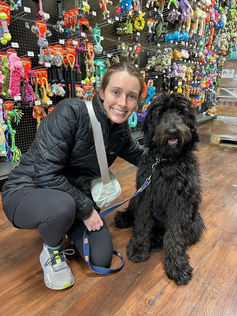 Dog Training Testimonial - Sully