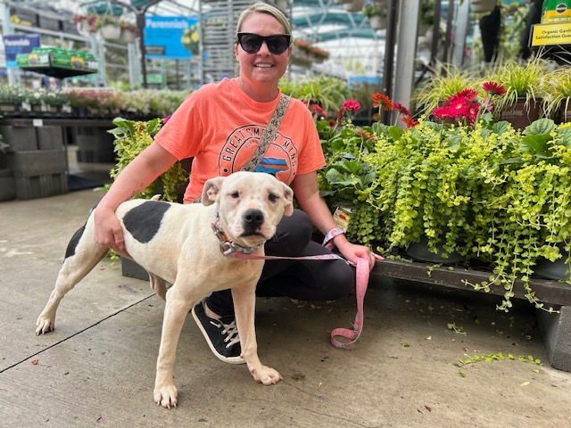 Dog Training Testimonial - Anderson