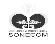 sonecom (1)_edited.jpg