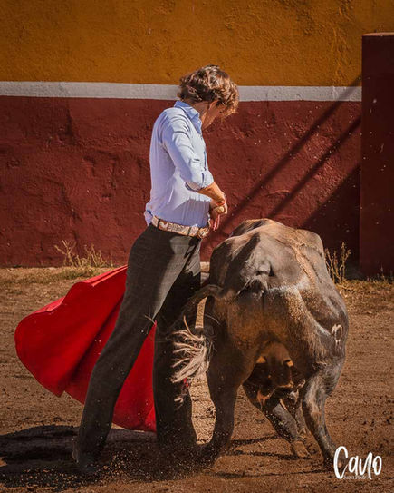 Fotografía taurina de Juan Pedro Cano para EntreArtes Comunicación, tentadero en Salamanca. Campo Bravo. Toro de lidia.