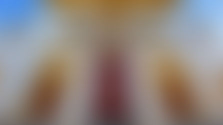 La Empresa Pagés considera inviable la celebración de la feria de San Miguel