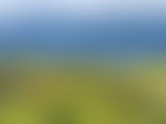 La dramática situación que atraviesa la cabaña de bravo tras la pandemia