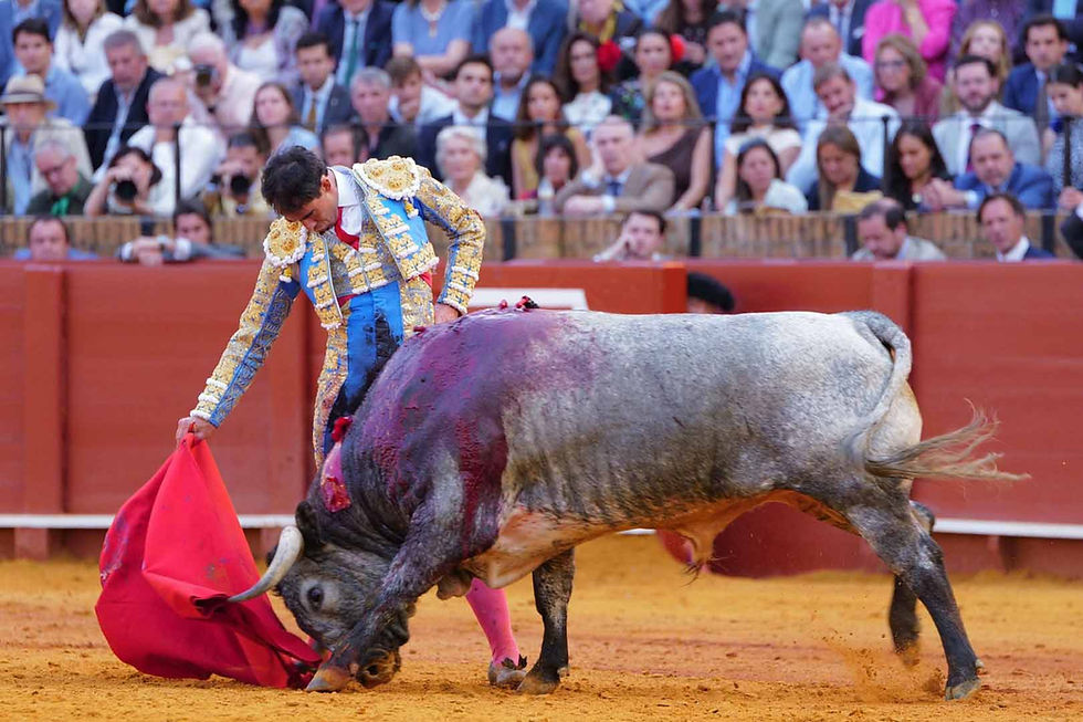 corrida La Quinta Maestranza Sevilla