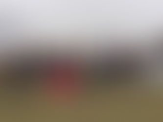 El relevo del toro bravo, entre la tradición y el desafío de la continuidad