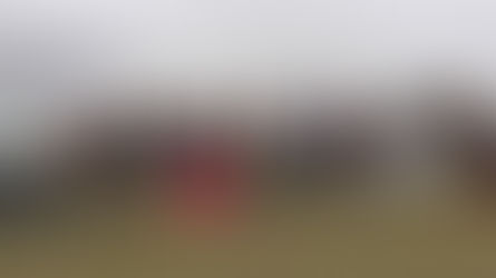 El relevo del toro bravo, entre la tradición y el desafío de la continuidad