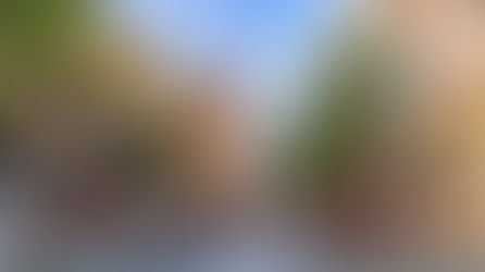 5 planes para disfrutar Valencia como un local en cualquier momento del año