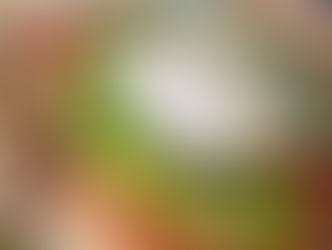 “El mejor mollete del mundo» es malagueño… y solidario