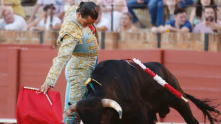 Ángel Pérez corta una oreja en la tercera novillada de promoción en Sevilla