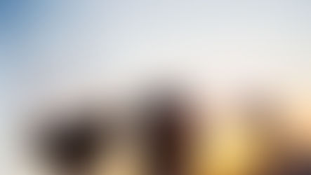 Más del 80% de ocupación en los alojamientos de la Ruta del Vino Ribera del Duero en Semana Santa