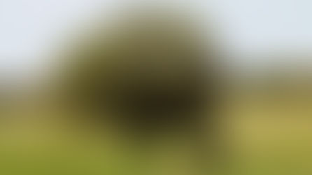 Madrid acogerá SICampo y Agroforum 2025, el gran foro de innovación y tradición del sector rural