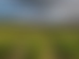 El V Centenario del ‘Camino Ignaciano’ peregrina por Rioja Alavesa