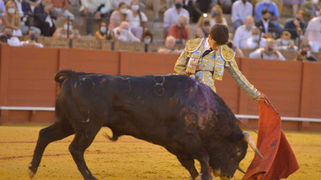 Manuel Perera corta dos orejas y sale a hombros en Sevilla