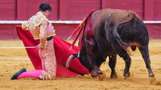 Fortes brilló en La Malagueta con entrega y una oreja en el mano a mano con De Justo 